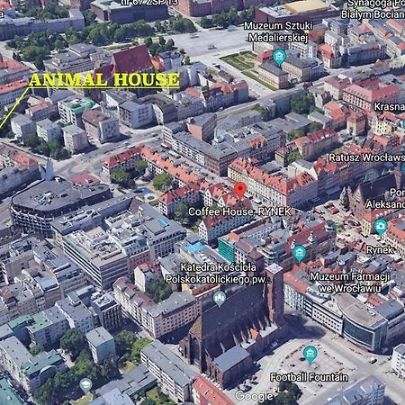 Animal House - StayinWrocław Exterior foto